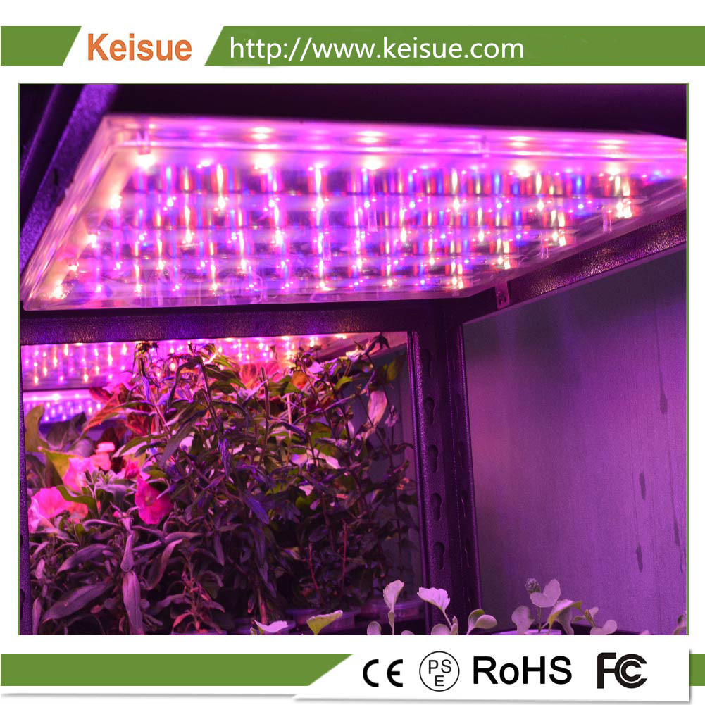 Keisue全光譜LED植物生長燈,防水等級IP65