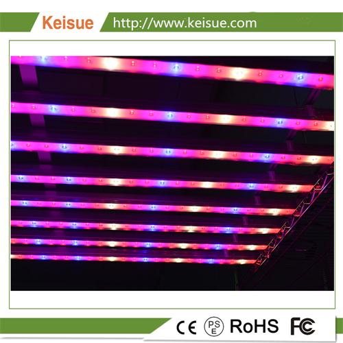 Keisue鋁制照明燈架 KES-GL-025,應用于種植工廠,溫室,室內種植