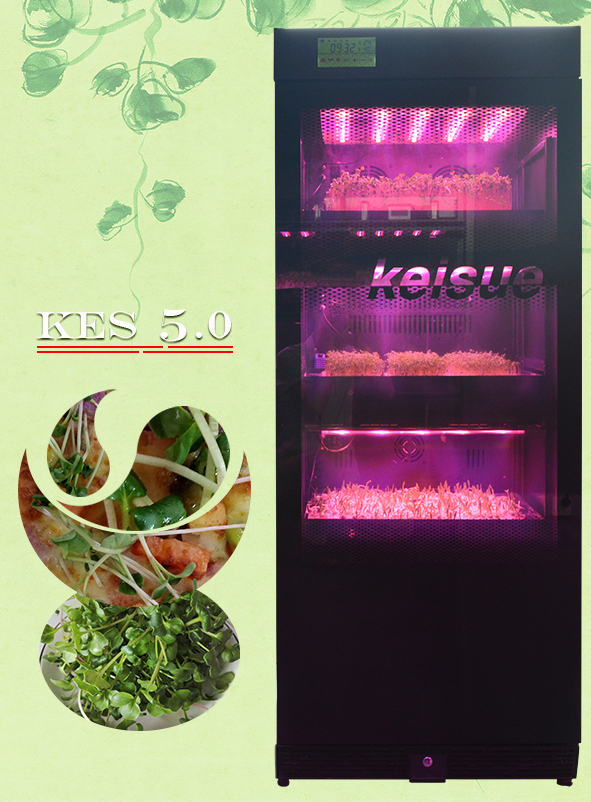 Keisue家用垂直農場KES5.0,用于種植微型苗菜